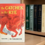 High school student literature book recommendation