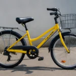 Samchully Elementary School Bicycle 22 inches